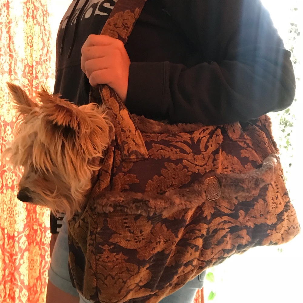 Custom made pup carrier.